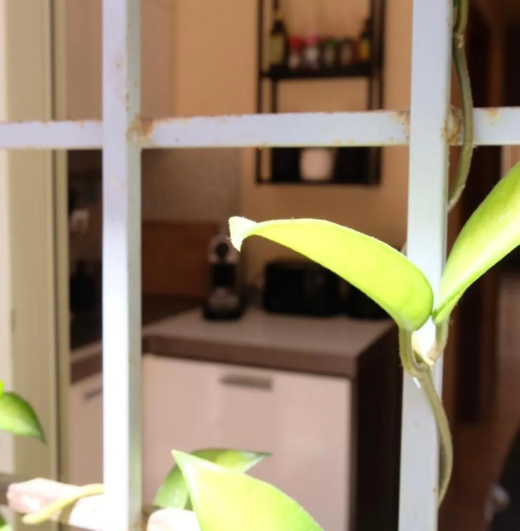 New! Centrale Station “Termini” Loft Rome